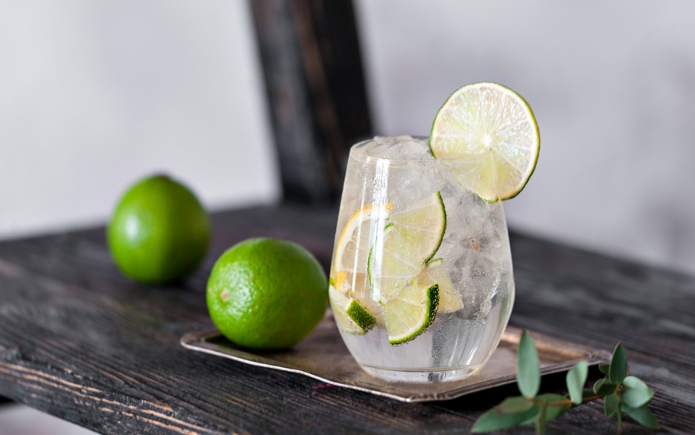 cocktail drink with lime lemon tonic gin and ice