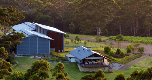 Forest Hill family owned vineyard