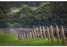 Award Winning WA Family Owned Wineries